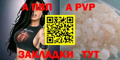 стаф Тара
